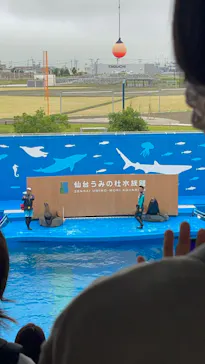 仙台うみの杜水族館に投稿された画像（2022/7/17）