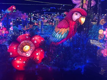 伊豆ぐらんぱる公園に投稿された画像（2022/7/17）