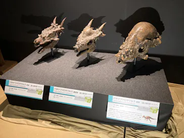 ひらかたパークに投稿された画像（2022/7/17）