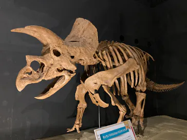 ひらかたパークに投稿された画像（2022/7/17）