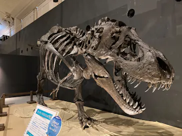 ひらかたパークに投稿された画像（2022/7/17）