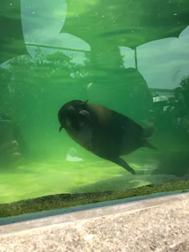 神戸どうぶつ王国に投稿された画像（2022/7/17）