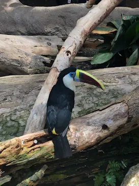 神戸どうぶつ王国に投稿された画像（2022/7/17）