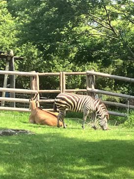 天王寺動物園に投稿された画像（2022/7/17）