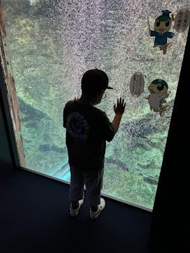 サケのふるさと 千歳水族館に投稿された画像（2022/7/17）