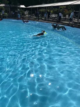 わんダフルネイチャーヴィレッジに投稿された画像（2022/7/17）