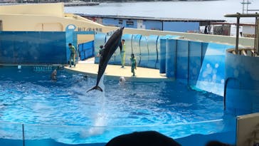 新江ノ島水族館に投稿された画像（2022/7/17）