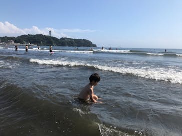 新江ノ島水族館に投稿された画像（2022/7/17）