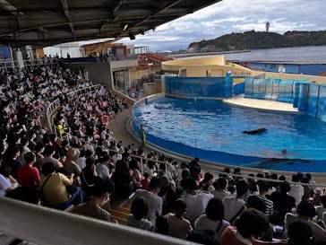 新江ノ島水族館に投稿された画像（2022/7/17）