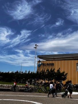 新江ノ島水族館に投稿された画像（2022/7/17）