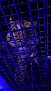 姫路セントラルパークに投稿された画像（2022/7/17）