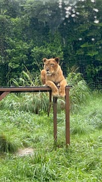 伊豆アニマルキングダムに投稿された画像（2022/7/17）