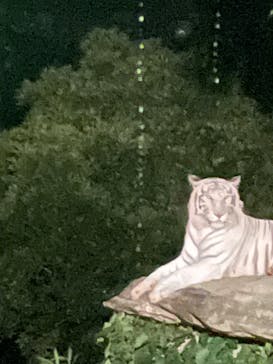 群馬サファリパークに投稿された画像（2022/7/17）