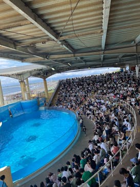 新江ノ島水族館に投稿された画像（2022/7/17）