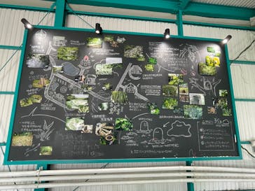 よみうりランド 遊園地に投稿された画像（2022/7/17）