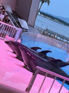 マリンワールド海の中道に投稿された画像（2022/7/17）