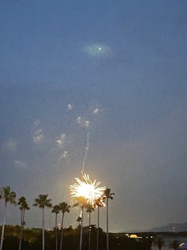 マリンワールド海の中道に投稿された画像（2022/7/17）