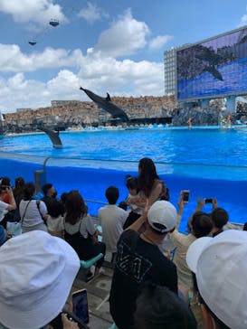 名古屋港水族館に投稿された画像（2022/7/17）