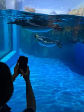 横浜・八景島シーパラダイスに投稿された画像（2022/7/17）