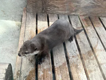 横浜・八景島シーパラダイスに投稿された画像（2022/7/17）