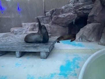 サンシャイン水族館に投稿された画像（2022/7/17）