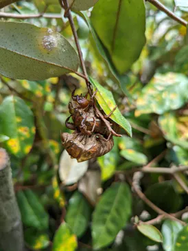 天王寺動物園に投稿された画像（2022/7/17）