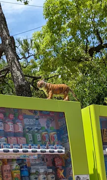 天王寺動物園に投稿された画像（2022/7/17）