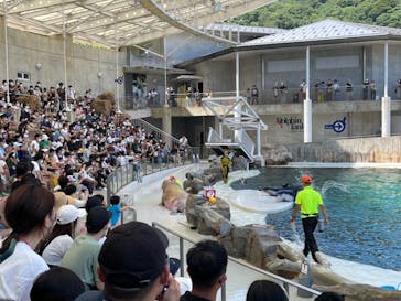 城崎マリンワールドに投稿された画像（2022/7/17）