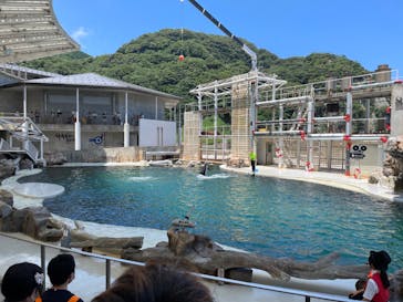 城崎マリンワールドに投稿された画像（2022/7/17）