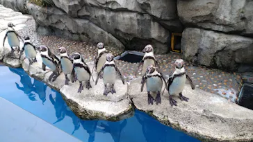 仙台うみの杜水族館に投稿された画像（2022/7/17）