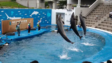 仙台うみの杜水族館に投稿された画像（2022/7/17）