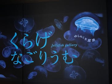 名古屋港水族館に投稿された画像（2022/7/17）