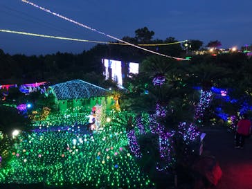 伊豆ぐらんぱる公園に投稿された画像（2022/7/17）