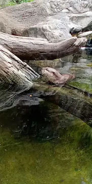 ひらかたパークに投稿された画像（2022/7/17）