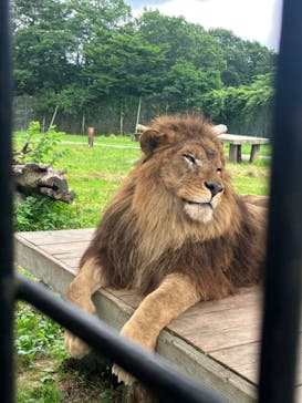 那須サファリパークに投稿された画像（2022/7/17）