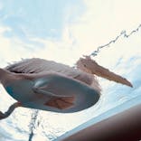 サンシャイン水族館に投稿された画像（2022/7/18）