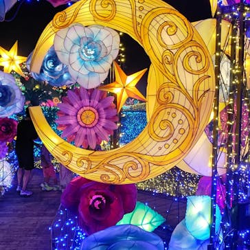 伊豆ぐらんぱる公園に投稿された画像（2022/7/17）