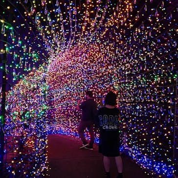 伊豆ぐらんぱる公園に投稿された画像（2022/7/17）