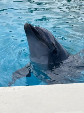 南知多ビーチランド＆南知多おもちゃ王国に投稿された画像（2022/7/17）