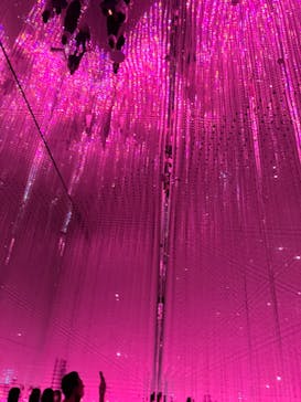 チームラボプラネッツ TOKYO DMMに投稿された画像（2022/7/17）