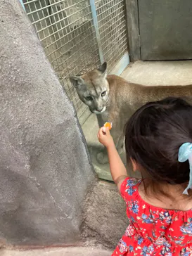 神戸どうぶつ王国に投稿された画像（2022/7/17）