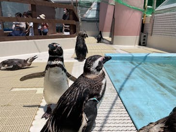 株式会社Gに投稿された画像（2022/7/17）