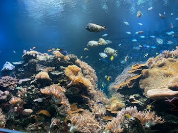 株式会社Gに投稿された画像（2022/7/17）