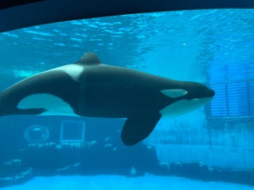 名古屋港水族館に投稿された画像（2022/7/18）