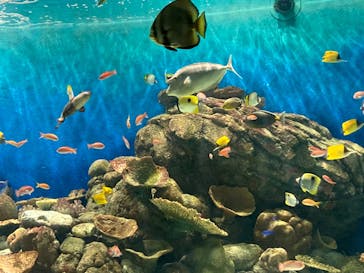 城崎マリンワールドに投稿された画像（2022/7/18）