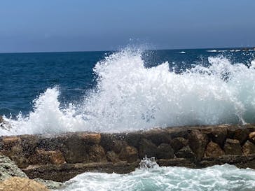 城崎マリンワールドに投稿された画像（2022/7/18）