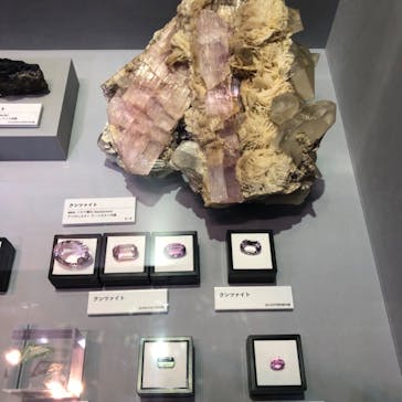 特別展「宝石　地球がうみだすキセキ」（名古屋市科学館　理工館地下２階イベントホール）に投稿された画像（2022/7/18）