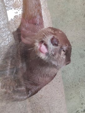 沖縄こどもの国に投稿された画像（2022/7/18）