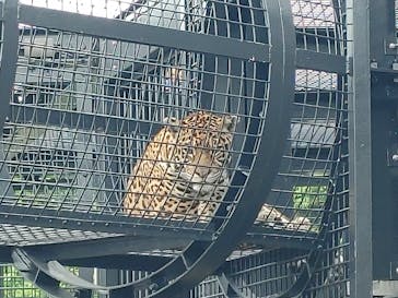 沖縄こどもの国に投稿された画像（2022/7/18）