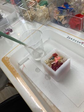 ずこうしつ〜sugamo〜に投稿された画像（2022/7/18）